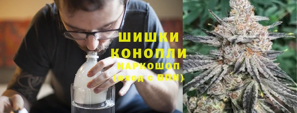 спиды Богородицк