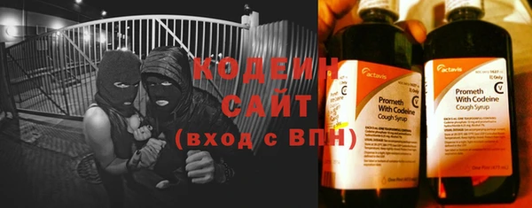 спиды Богородицк