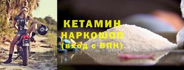 спиды Богородицк