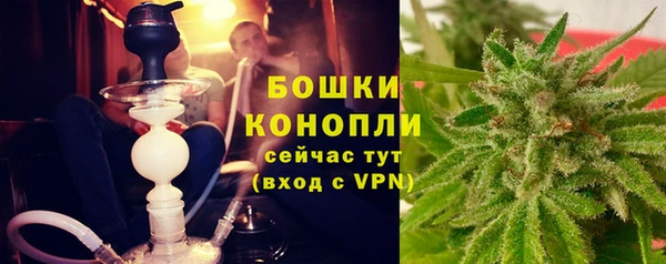 спиды Богородицк