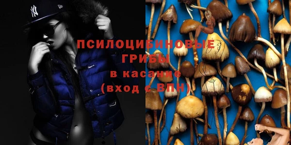 спиды Богородицк