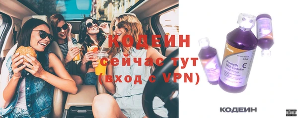 спиды Богородицк