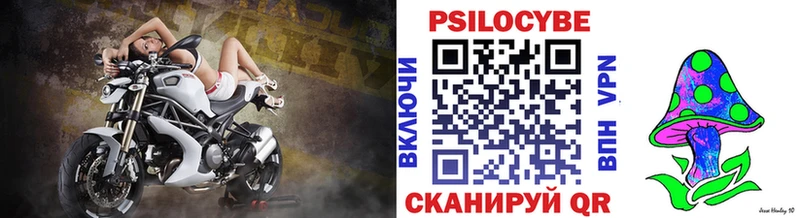 закладки  Волжск  Галлюциногенные грибы Psilocybine cubensis 