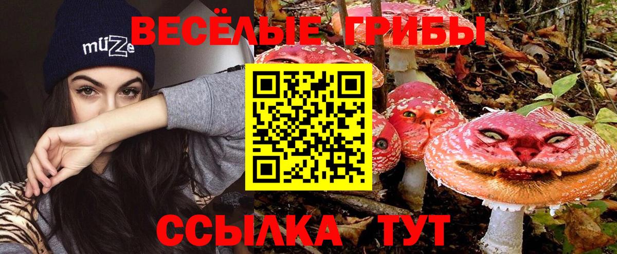 Галлюциногенные грибы Psilocybine cubensis Волжск