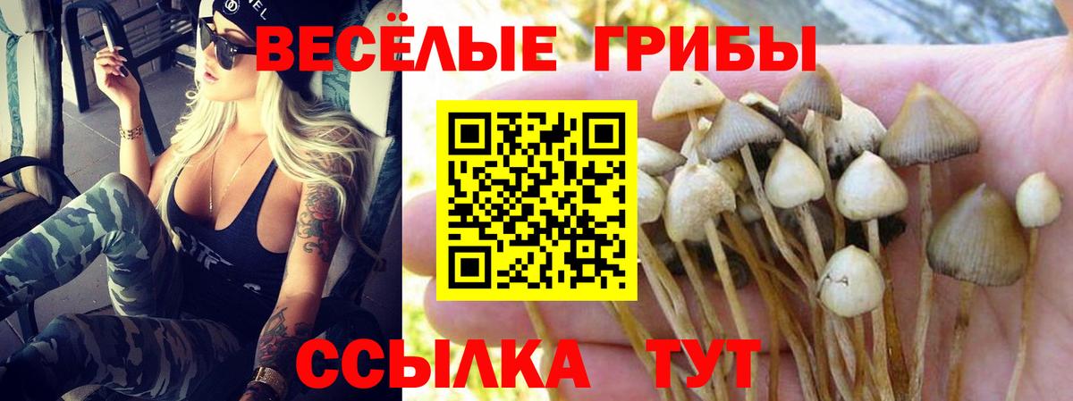 Псилоцибиновые грибы ЛСД Волжск