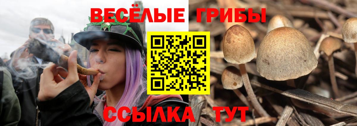 Волжск  Галлюциногенные грибы мицелий  Вход с VPN  Псилоцибиновые грибы Psilocybine cubensis 